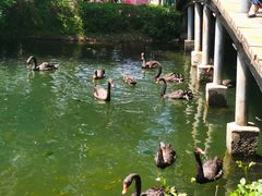 -长白岛森林公园