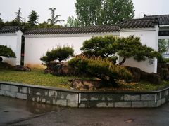 -观唐（国际）度假村温泉