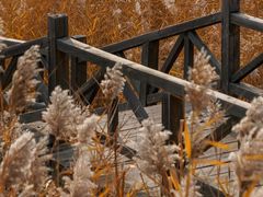 -野鸭湖国家湿地公园