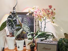 -本無咖啡·BeanWood Coffee