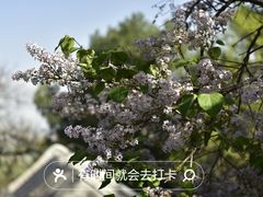 -八大处公园