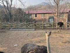 -五龙山野生动物王国