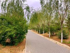 -瀛海足球主题公园