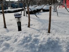 -威海大水泊国际机场