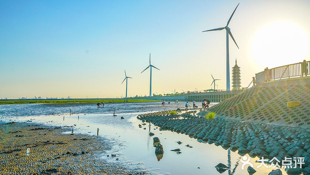 上海奉贤渔人码头沙滩,上海免费遛娃大圣地