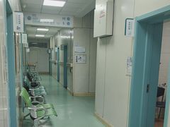 -北京观赏动物医院·24小时大型综合·猫专科·异宠专科