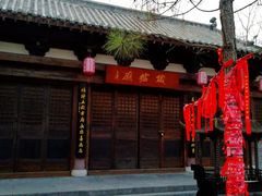 -合肥滨湖国家森林公园