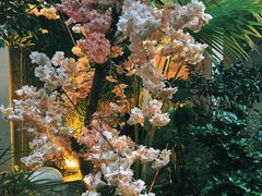 -王捌小院(红花坡店)