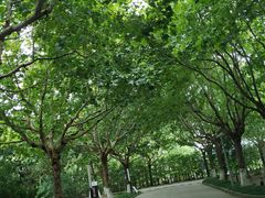 -上海第二工业大学(金海路校区)