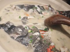 -老傅家湘潭水煮活鱼店(众一国际店)