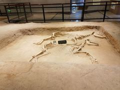 -洛阳周王城天子驾六博物馆