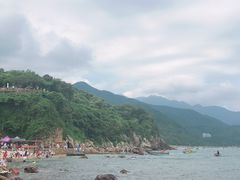 -杨梅坑