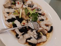 -龙悦湾酒家·八阵鱼生·渔人码头店