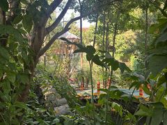 -晓雯人家