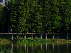 -艾溪湖湿地公园