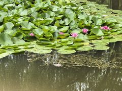 -丰台科技园生态主题公园