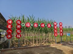 -新地休闲农场