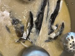-深德天麻鱼头(沙溪总店)