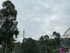 -美心红酒小镇游乐园