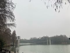 -东湖落雁景区