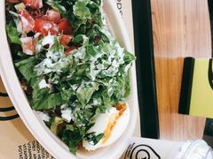 -油梨树 AVOCADO TREE(亮马桥店)