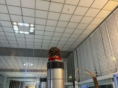 -尼诺伊·阿基诺国际机场T1航站楼