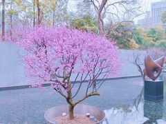 -静安雕塑公园