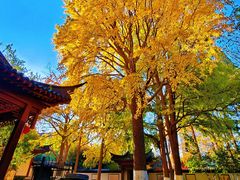 -郑和公园