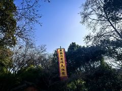 -杭州黄龙洞