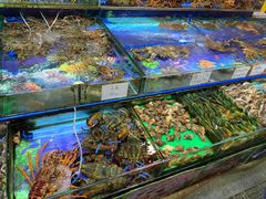 水产区-渔人码头(洛溪店)