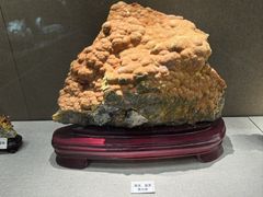 -北京中医药大学-中医药博物馆