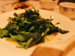 酒香豆苗-老吉士酒家(天平路店)