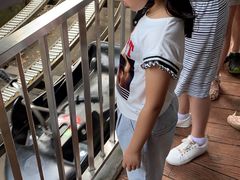-圣淘沙天际线斜坡滑车
