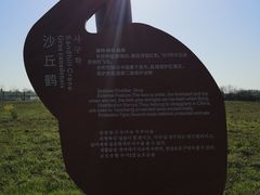 -盐城丹顶鹤湿地生态旅游区