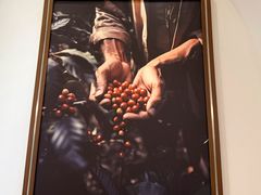 -Peet's Coffee皮爷咖啡(上海长风大悦城店)