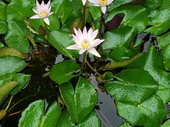 -优游吧斯邹族文化部落