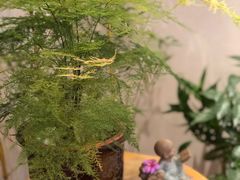 -十二舍·湯物素煮(江泰潤政店)