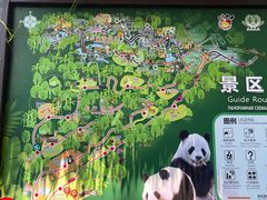 -海南热带野生动植物园