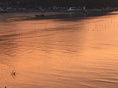 -北岐滩涂