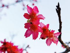 -小南山公园