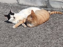 -北京天湖会议中心