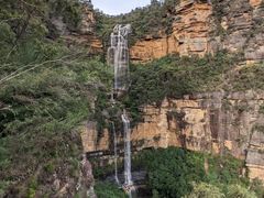 -墨尔本皇家植物园