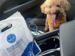 -芭比堂动物医院·CT·微创中心(新顺分院)