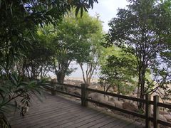 -吴淞炮台湾湿地森林公园烧烤区
