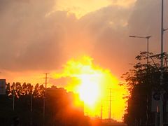 -光明刘冰乳鸽店(光明法政北路店)