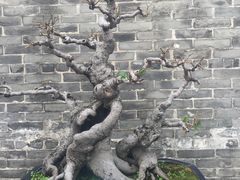 -梁园
