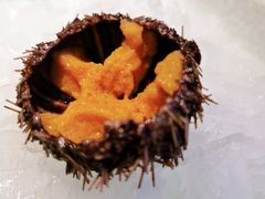 新鲜海胆-花潮料理艺食馆(成都万象城店)