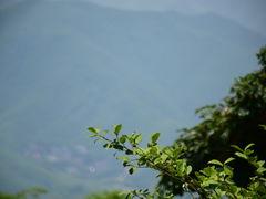 -莫干山风景区