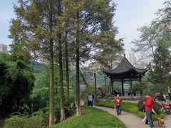 -重庆彩云湖湿地公园