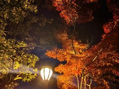 -八大关景区